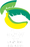 logo dgv
